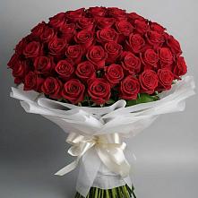 Букет 101 Красная роза Блэк Мэджик в Смоляниново
