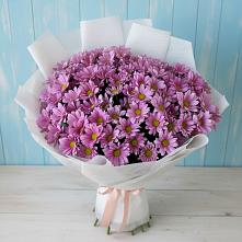 Букет цветов из:  Хризантемы #REPLACE_PRED# Смоляниново