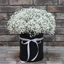 Цветочная композиция из Гипсофила в шляпной коробке #REPLACE_PRED# Смоляниново